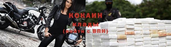 стафф Инта