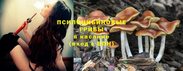 меф Тихвин