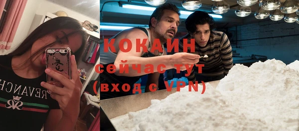 стафф Инта