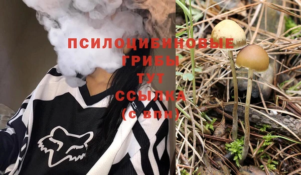 стафф Инта