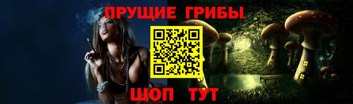 наркошоп  Псилоцибиновые грибы GOLDEN TEACHER  Вход с VPN  Галлюциногенные грибы MAGIC MUSHROOMS  Бердск 