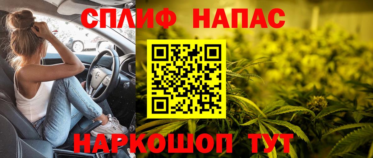 Каннабис сатива Бердск